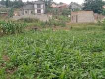 Ssemugooma R.
