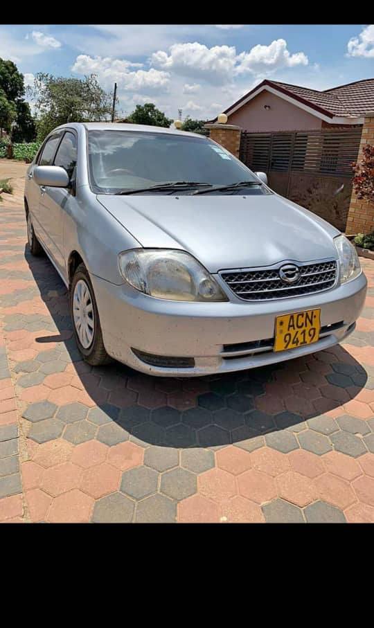toyota corolla bubble