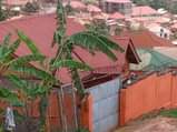 A picture of Makindye kizungu uphill house on quick sale