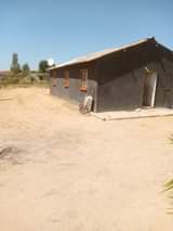 Stand for Sale in Ziko, Chitungwiza