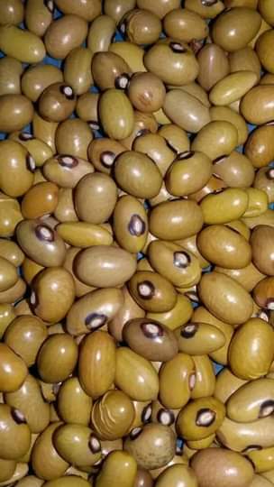 A picture of 0710551762