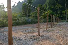 stands