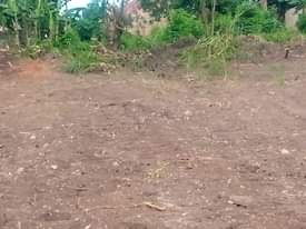 A picture of AFFORDABLE PLOTS FOR SALE