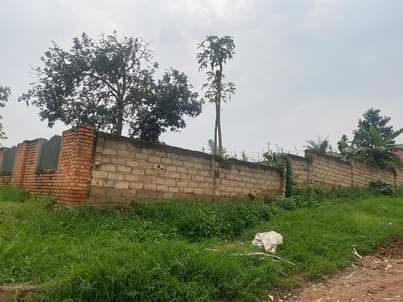 kagugu accommodation
