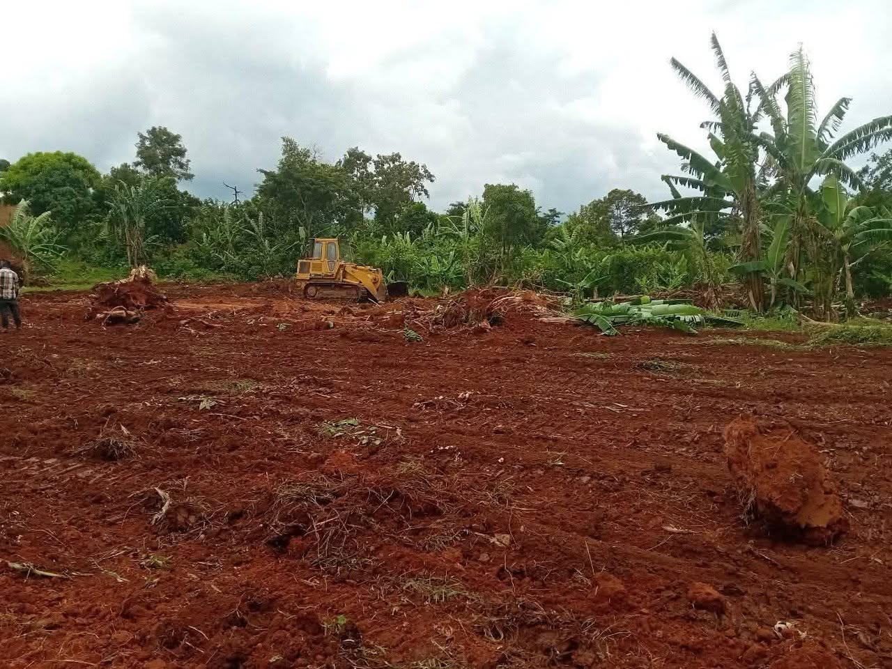 A picture of Affordable plots
