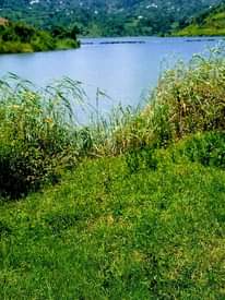 A picture of LAND FOR SALE