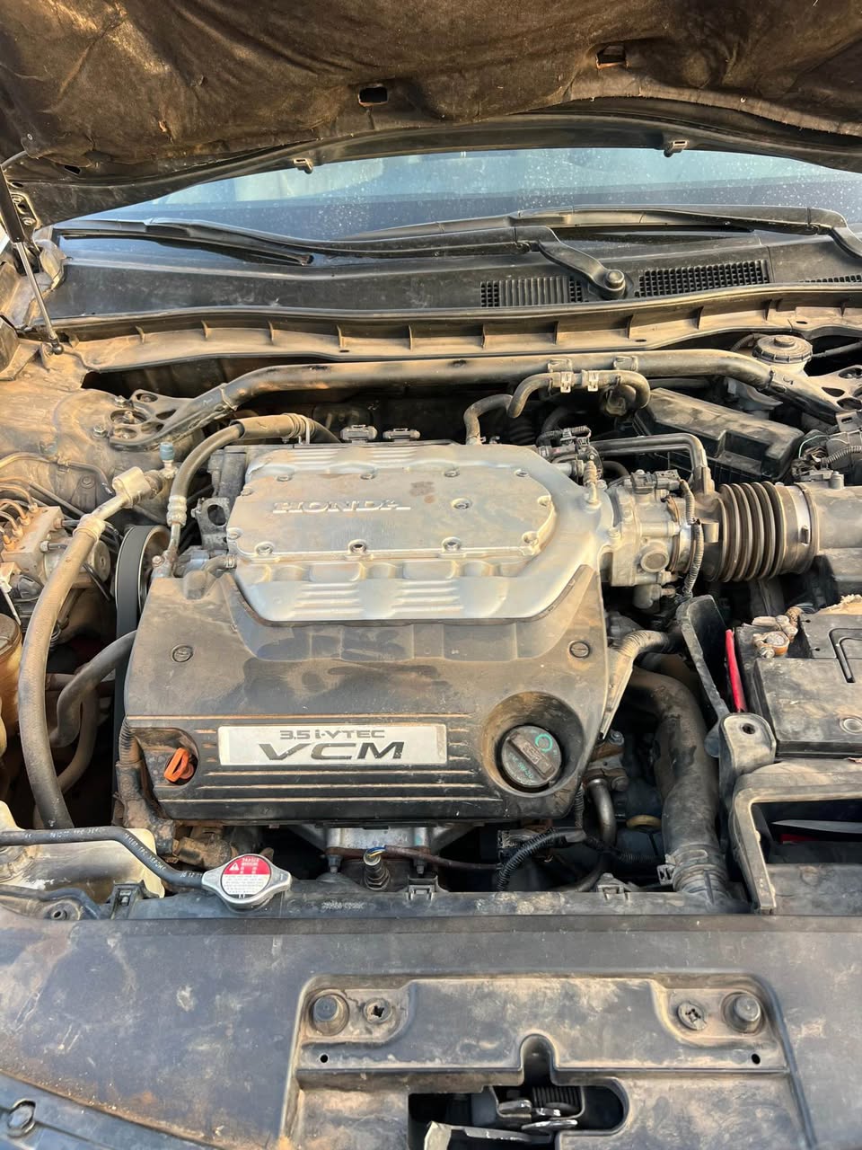 A picture of Honda Accord 2010 V6