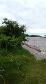 Fairland F.