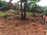 A picture of Nansana Mastowa