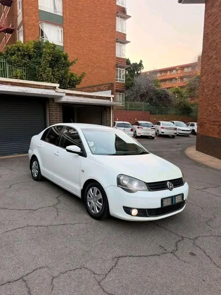 polo vivo