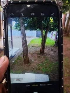 A picture of Spark 4