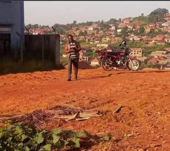 A picture of Matuga town estate
