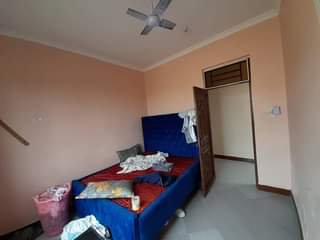 A picture of 0656394984 0789659702