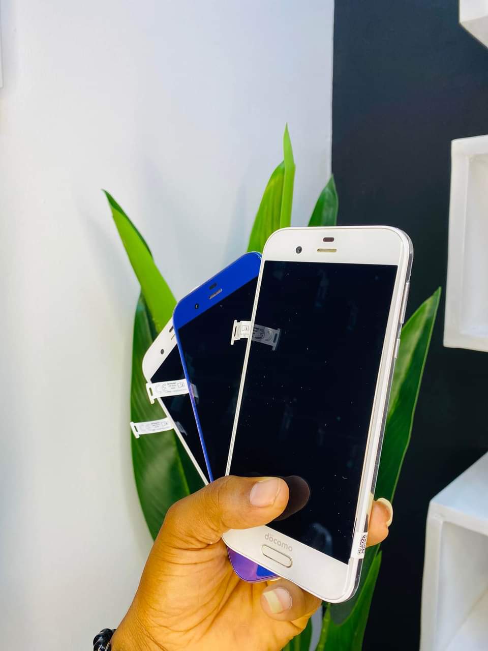 A picture of Aquos R1