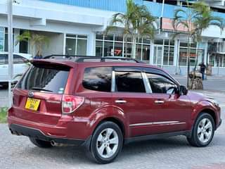 A picture of 2008 Japan New model