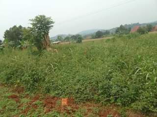 A picture of 100 by 100 ft that touches the tarmac of mukono