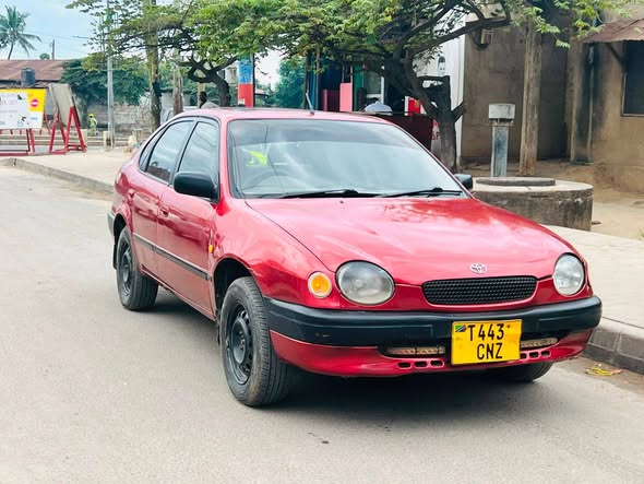 A picture of COROLLA MIL 4 9 CAL 0713264255