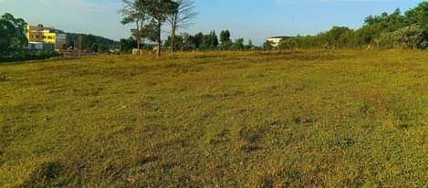 A picture of 15 ACRES AT MATUGGA TOUCHING TARMAC. 350m acre.