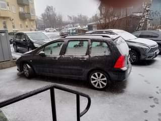 A picture of Peugeot 307 2007
