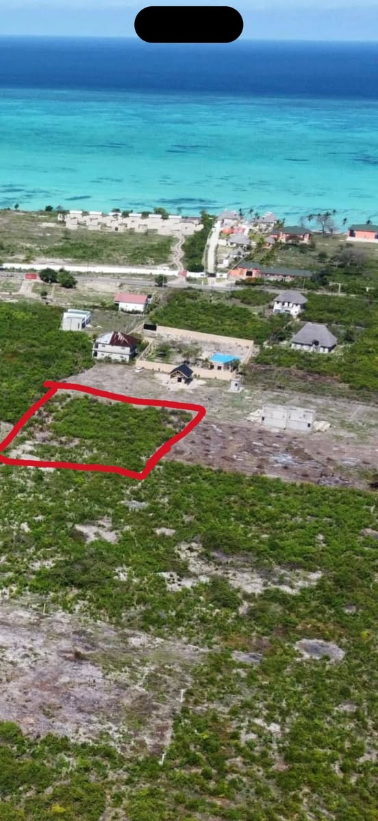 A picture of plot for sale jambiani shungi