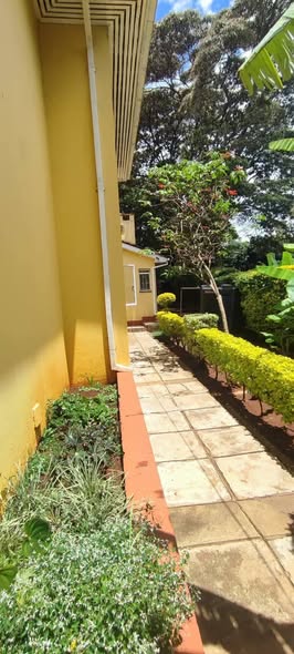 houses for sale