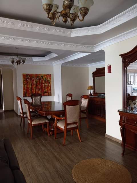 furnished apartments