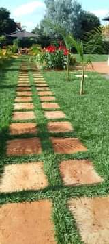 grass