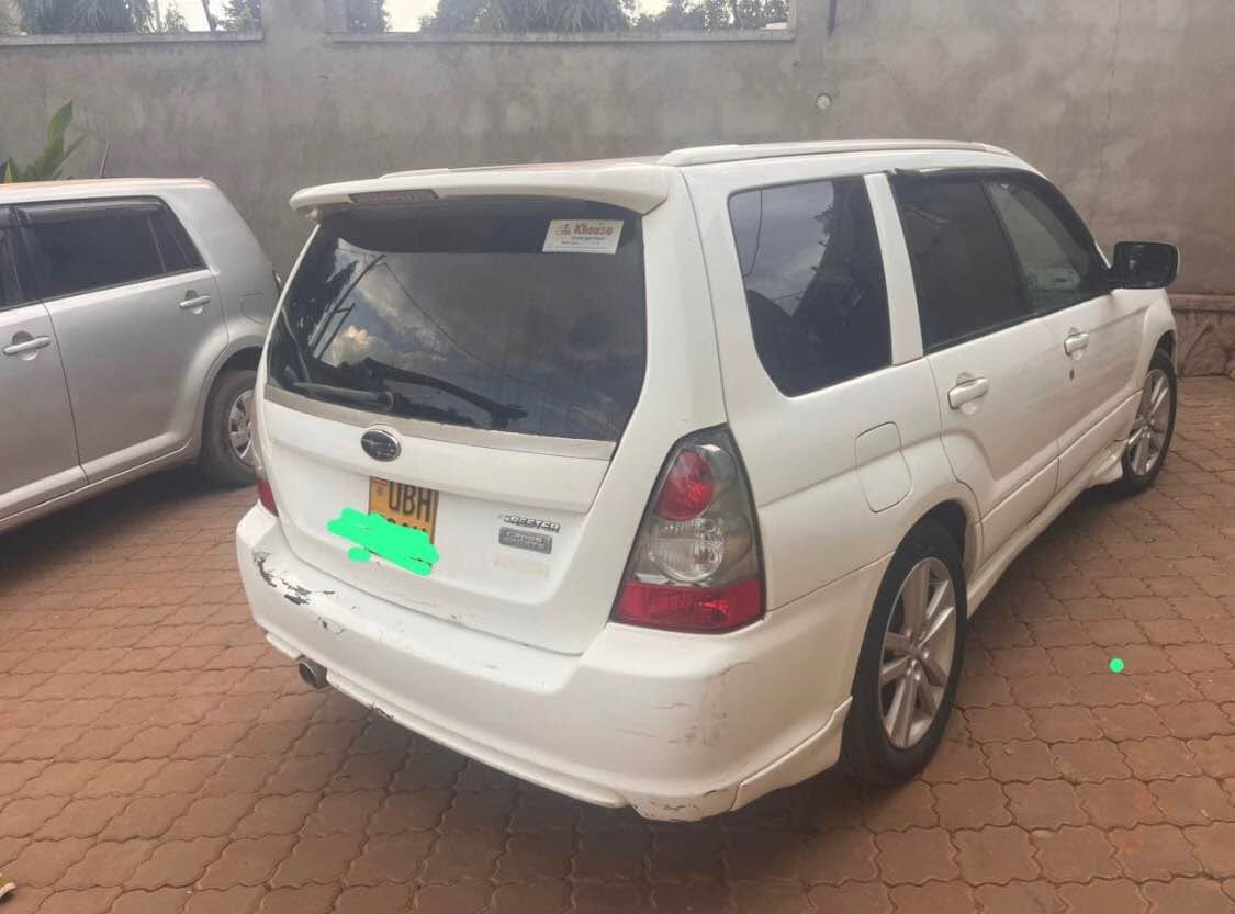 A picture of Forester