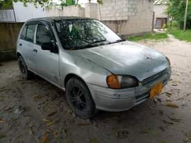 A picture of Starlet 0687212023