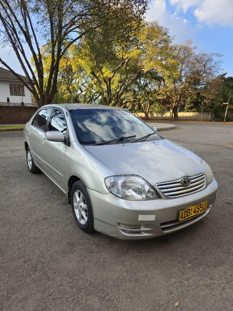 toyota corolla bubble