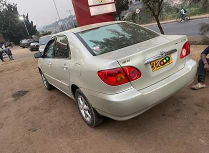 used toyota corolla