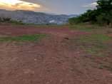 A picture of 1 Acre for sale in Bunamwaya on Top hill viewing