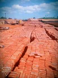 classifieds/bricks