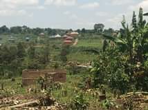 A picture of Hot deal 2plots size 100by50ft with land title On quick