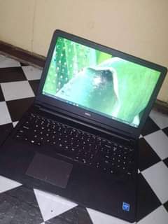dell laptop
