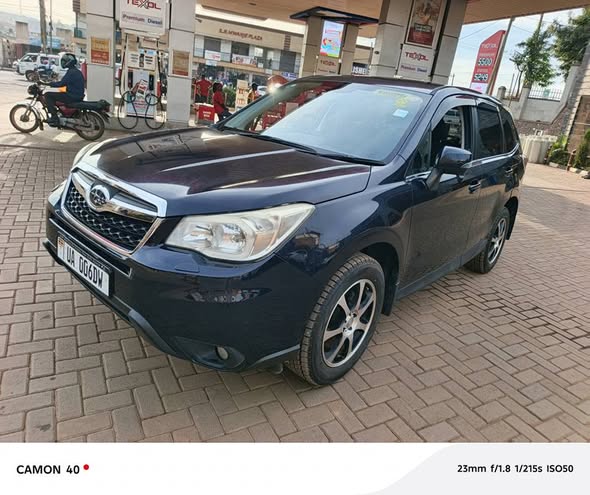A picture of Forester