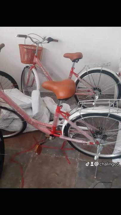 Motorized bikes 2024 for sale