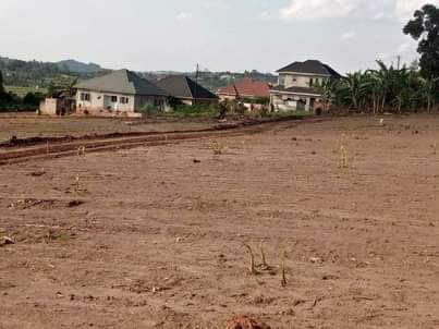 A picture of Commercial and Residential plots for sale located on MITYANA ROAD