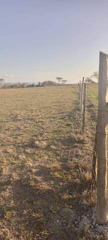 Freddy W.