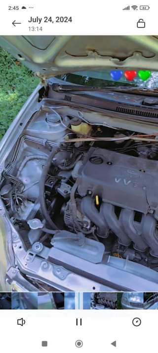Zsr T.