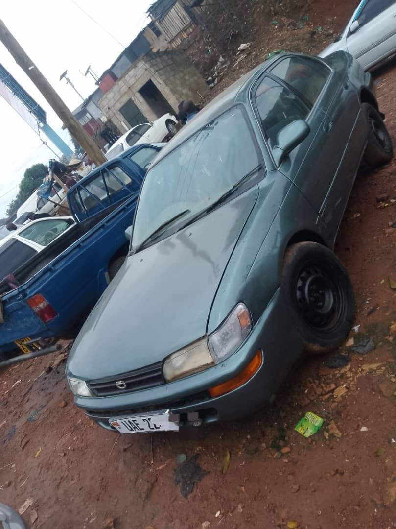 A picture of KIKUMI 4 5m CALL 0701488581 WHAT S APP 0776417404