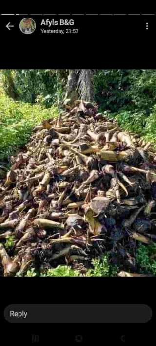 A picture of Ero agro biz ventures