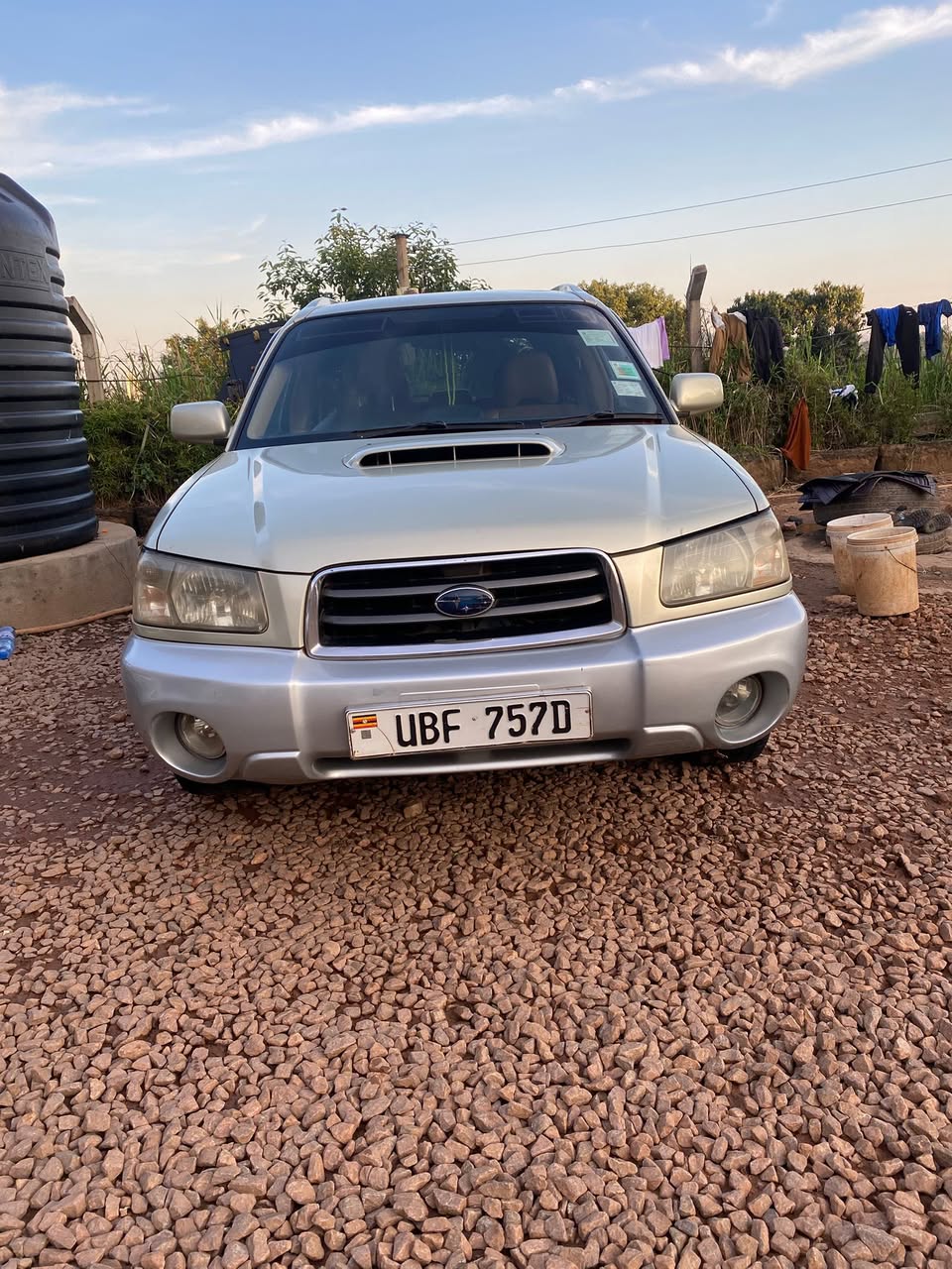 A picture of Subaru Forester