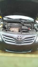A picture of HOT DEAL AWOOF