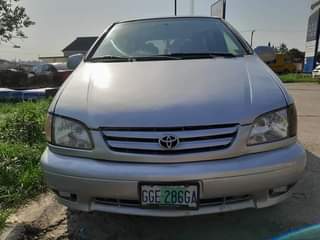 A picture of Sienna 02