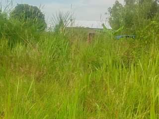 A picture of PLOTS IN NALONGO TRADING CENTER AVAILABLE FROM AS LOW AS