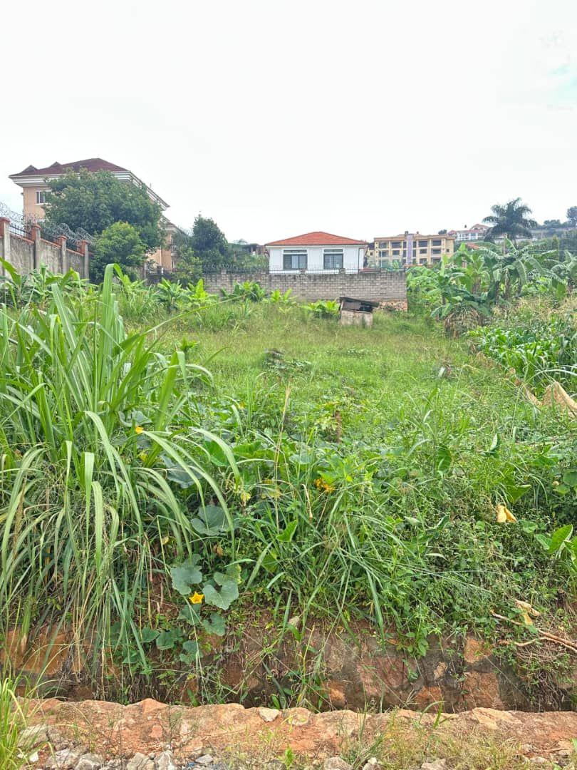 A picture of A BEAUTIFUL PLOT AT LUBOWA ON ENTEBBE ROAD IN A