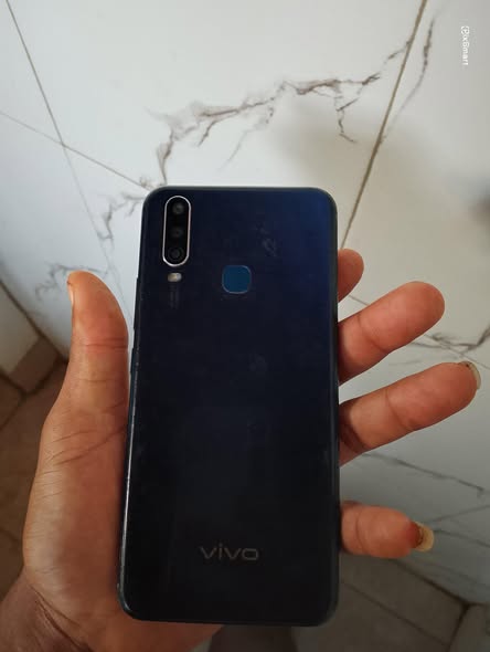 vivo