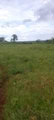 A picture of 100 acres Zirobwe Kakakara 15m per acre Private mailo land