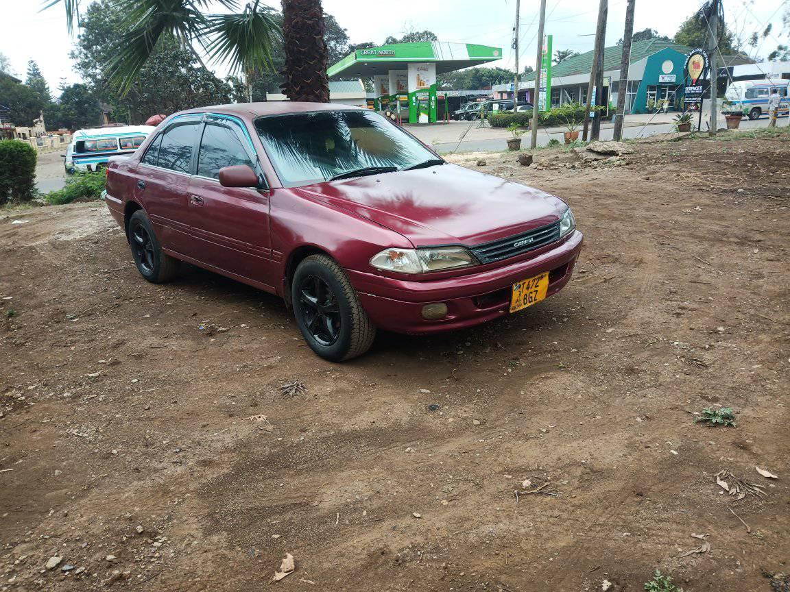 A picture of Carina S i nauza bei 4.7ml ipo Arusha piga cm